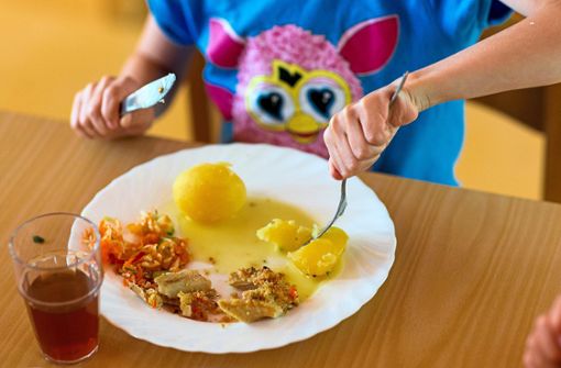 Zum zweiten Mal in diesem Jahr wird das Essen in der Mensa der Straßberger Schlossgartenschule erhöht. Ein Menü kostet ab dem neuen Schuljahr 4,10 Euro. Foto: Büttner