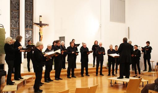 Eine faszinierende Konzertstunde europäischer Chormusik bescherte den Zuhörern der Kammerchor Ebingen. Foto: Bender