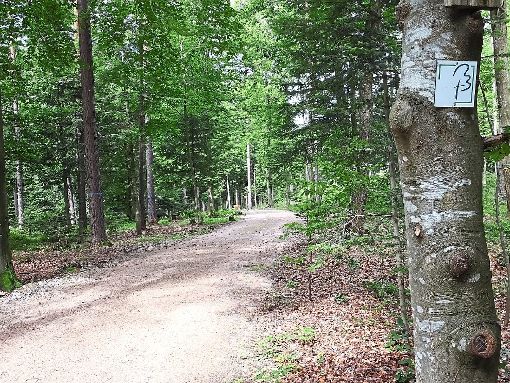 Nachdem bereits Bäume markiert worden sind, soll durch eine Ausdehnung des Wegenetzes der Ruhewald in Zavelstein noch in diesem Jahr erweitert werden. Foto: Stocker Foto: Schwarzwälder-Bote