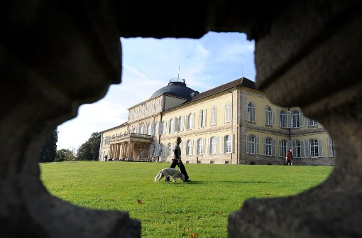 Studieren im Hohenheimer Schloss ist schön, aber drumherum fehlt es an Wohnraum für die Studierenden. Foto: dpa