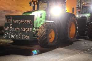 In Ergenzingen fanden sich rund 150 Traktoren ein, die teilweise auch mit Transparenten versehen waren Foto: Baum Foto: Schwarzwälder Bote
