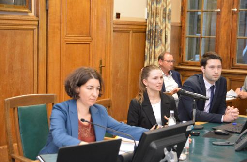 Louise Seeliger (Mitte) und Elias Drechsler stellen ihr Gutachten zur Haushaltskonsolidierung vor. Foto: Fritsche