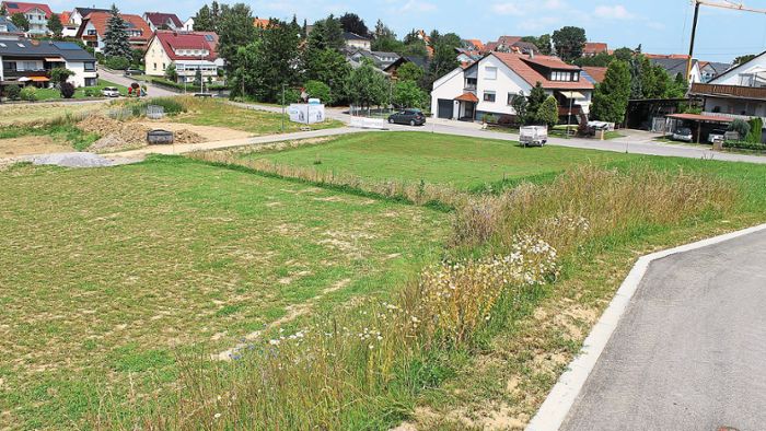 Bau des geplanten Pflegeheims in Rottenburg soll nächstes Jahr starten