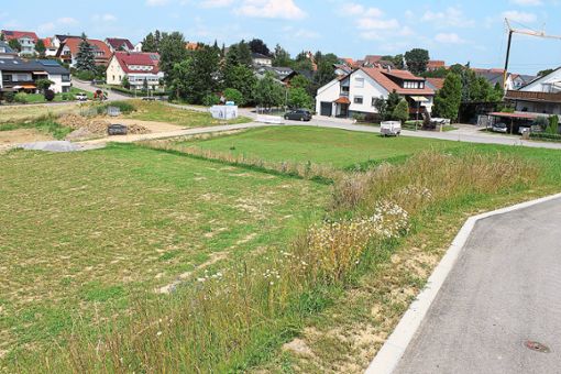 Blick auf das untere Areal im neuen Ergenzinger Baugebiet Öchsner, in dem das neue Pflegeheim gebaut werden soll. Foto: Ranft
