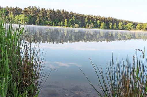 Der Riedsee ist nicht nur für Wassersportler toll, sondern auch für Naturliebhaber ein gerne besuchtes Idyll. Foto: Spitz