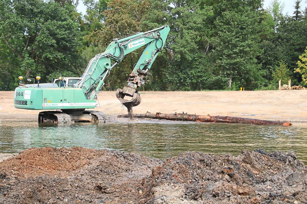 Ein Bagger setzt einen Baum, der im Zuge der Arbeiten am Donauursprung ausgerissen werden musste, im Gewässer wieder ein – nur ein Beispiel für die ökologische Nachhaltigkeit am Standort.