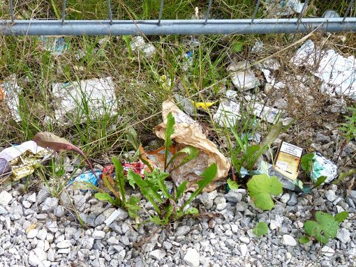 Zwei Unternehmer haben in Hechingen ihren Müll illegal entsorgt. Sie müssen sich nur vor Gericht verantworten.  Foto: Bienger
