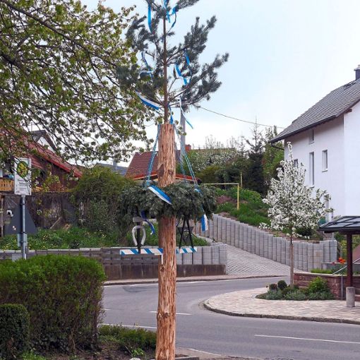 Ein Sicherheitsbaum steht in diesem Jahr wegen der  strengen Auflagen in Obereschach.   Foto: Weiß