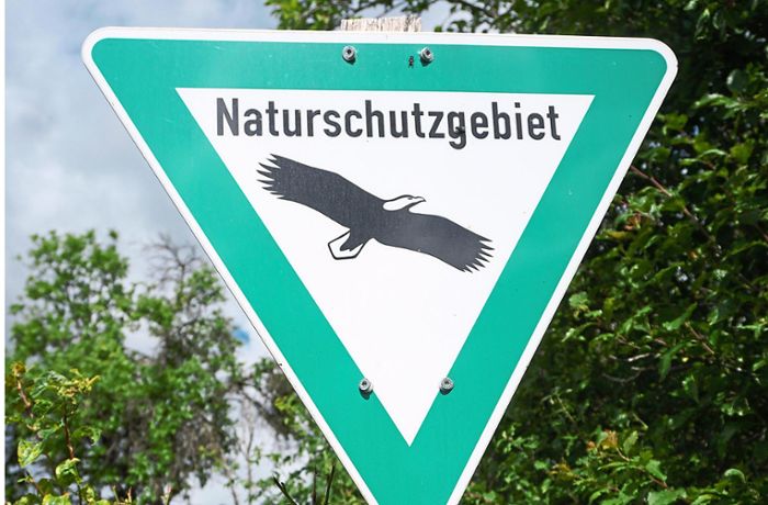 Naturschutz in Simmozheim: Muss die Stützmauer abgerissen werden?