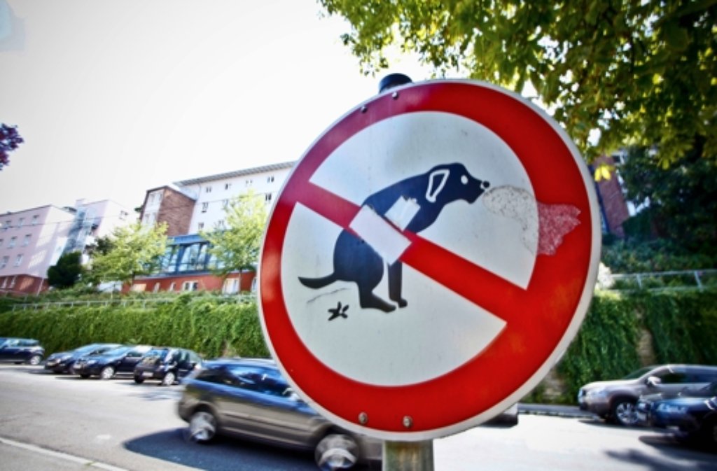 Hund haben’s schwer in Stuttgart - überall gibt es Verbote. Warum die Schwabenmetropole die hundefeindlichste Stadt Deutschlands ist, erfahren Sie in der Bildergalerie.