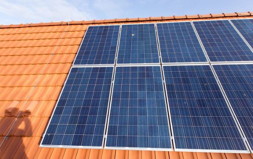 Fotovoltaik propagiert  der Verein Sonnenenergie Zollernalb. Foto: Gentsch Foto: Schwarzwälder Bote