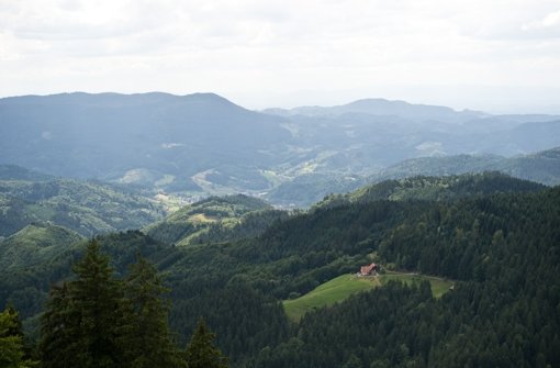 Auch der Schwarzwald ist ein beliebtes Urlaubsziel. Foto: dpa