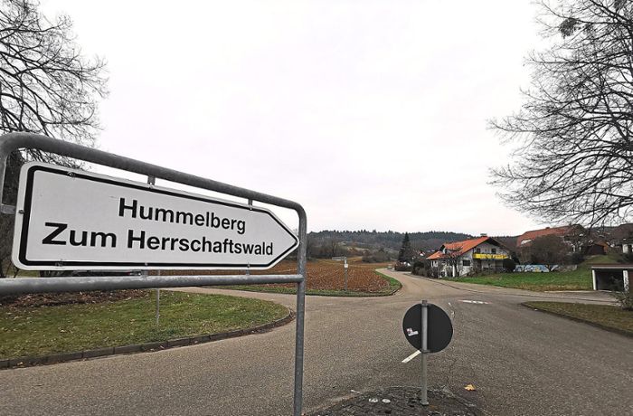Haushaltsberatung in Kippenheim: Neues Baugebiet in Schmieheim ist der größte Brocken