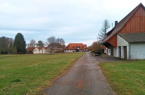 Auf dieser Weildorfer Wiese links im Bild soll ein neuer Kindergarten für die Gesamtstadt entstehen. Die Stadt hat die Fläche dafür gekauft. Im Hintergrund ist der Hagastall zu erkennen. Foto: Kost