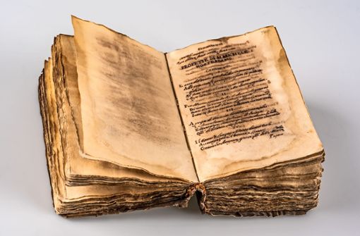 Das Nostradamus-Manuskript kehrt nun nach Rom zurück. Foto: Landeskriminalamt Baden-Württemberg