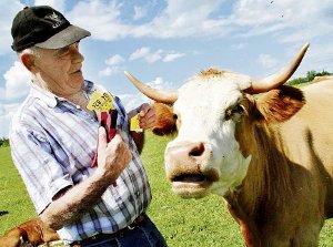 Im Streit um die Kennzeichnung von Rindern mit Ohrmarken erhält Landwirt Ernst Hermann Maier Rückendeckung von Landrat Pauli. Foto: Archiv-Foto: Ungureanu