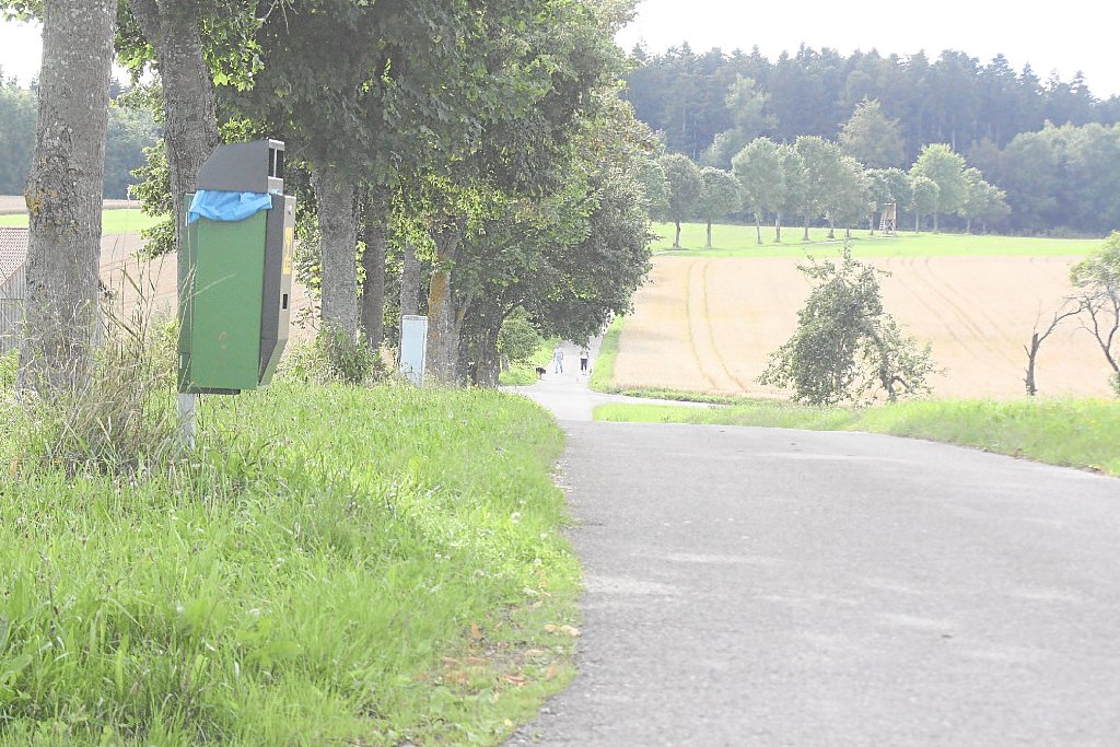 Beim Sportgelände in Harthausen sorgen freilaufende Hunde für Ärger. Foto: Rapp