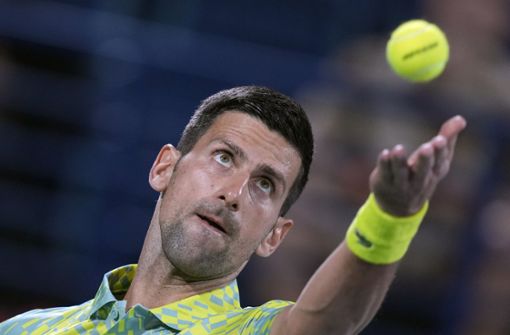 Gute Nachricht für Novak Djokovic. Foto: dpa/Kamran Jebreili