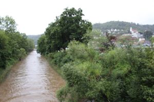 Bei der Hochwasserschutzmaßnahme M 4 Kernstadt ist aus diesem Blickwinkel die rechte Seite betroffen. Hinter den Bäumen liegt der Parkplatz Hochbrücke. (Archivfoto) Foto: Fahrland