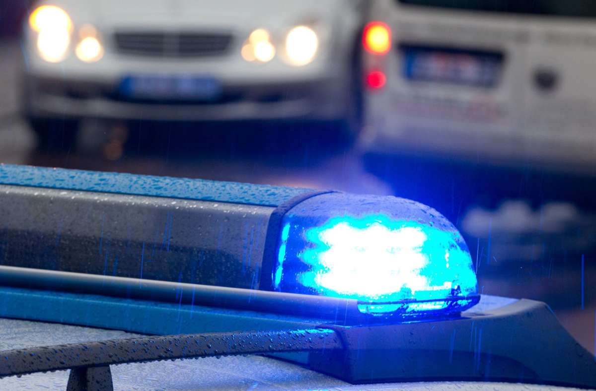 Tödliches Unglück in Schopfheim: Baum stürzt auf Mann – 64-Jähriger tot