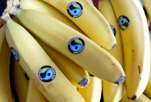 Die Stadt plant einen Fairtrade-Einkaufsführer. Foto: Carstensen