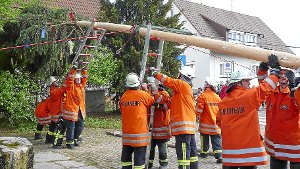 Feuerwehrmänner stemmen mit vereinten Kräften 17,80 Meter hohen Baum