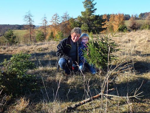Opa und Enkelin freuen sich über den selbst ausgesuchten und geschlagenen Weihnachtsbaum. Die Wacholderheide auf dem Schopflocher Bühl wird durch die Forstaktion von ungewüschten Fichten und Kiefern befreit.Foto: Roth Foto: Schwarzwälder Bote