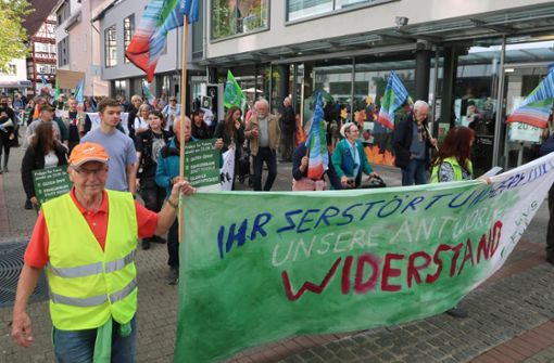 Knapp 60 Personen demonstrierten am Freitag in Nagold für mehr Klimaschutz. Foto: Buchner