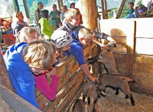 Ziegen streicheln durften Kinder der Grundschule Burgberg auf dem Ziegenhof von Helga und Peter Günter. Foto: Hübner Foto: Schwarzwälder-Bote