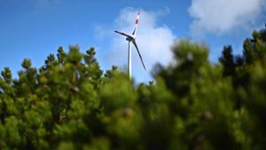 Thema Windkraft löst grenzwertige Debatte in Bad Rippoldsau-Schapbach aus