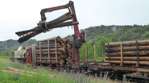 Ein Transportunternehmen aus Zimmern verlädt Holzstämme auf einen Güterzug mit etwa zehn Waggons. Gegen 14.30 Uhr rollt  der Zug dann nach Blumberg. Foto: Bernauer Foto: Schwarzwälder Bote