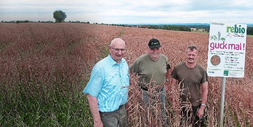 Die drei Landwirte Gerd Walter, Rudolf Sautter und Stefan Brezing wehren sich gegen das geplante KSK-Absetzgelände. Foto: Buckenmaier