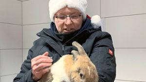 Kaninchen Mäx sucht sehnsüchtig nach einem neuen Zuhause
