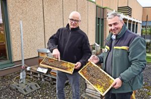 Bienenfreunde unter sich: Friedrich Scholte-Reh (links) und Christian Wolf vom Imkerverein Balingen-Geislingen-Rosenfeld Foto: Wolf-Ulrich Schnurr