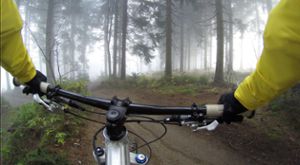 Im Wald fühlen sich auch Mountainbiker wohl.    Foto: pixabay Foto: Schwarzwälder Bote