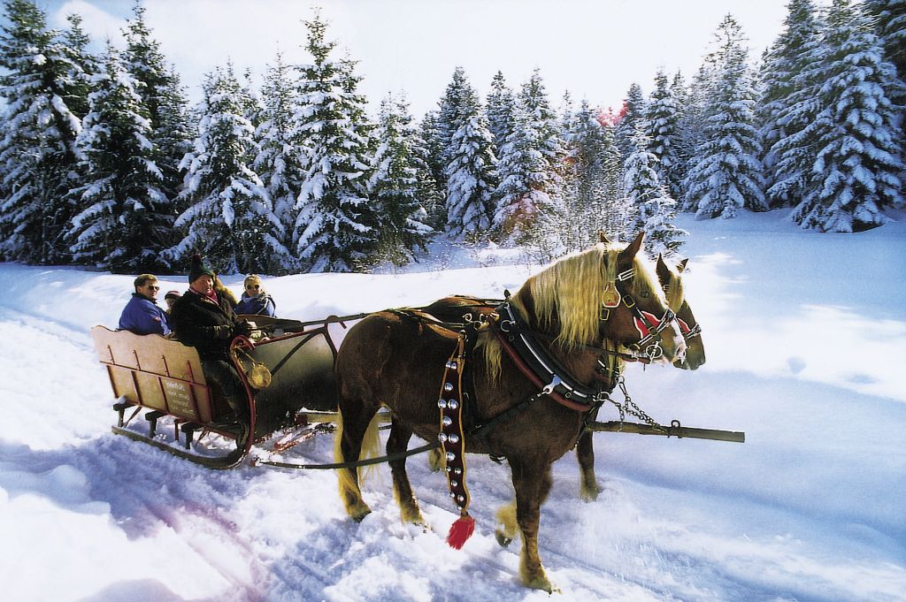 Die winterliche Landschaft können Groß und Klein bei einer Pferdeschlittenfahrt genießen. Dies ist u.a. in Schluchsee im Hochschwarzwald möglich. Infos gibt es hier.