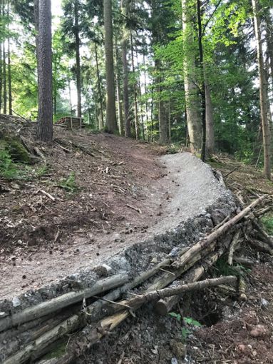 In Deißlingen entsteht eine Strecke für Mountainbiker. Zehn Teenager realisieren das Projekt in Eigenregie. Foto: Gemeinde Foto: Schwarzwälder Bote