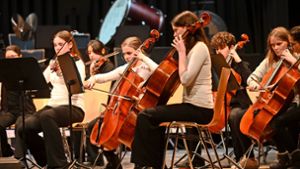 Das Jugendorchester präsentierte beim Neujahrskonzert der Musikschule musikalische Stücke aus Barockzeit und Gegenwart. Foto: Thomas Fritsch