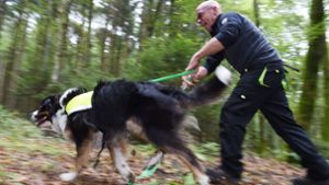 Auch Rettungshunde sind bei der Suche nach der vermissten Frau im Einsatz (Symbolfoto). Foto: dpa/Felix Kästle