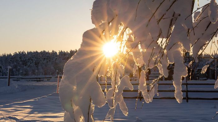 Strahlender Sonnenschein bei Dauerfrost