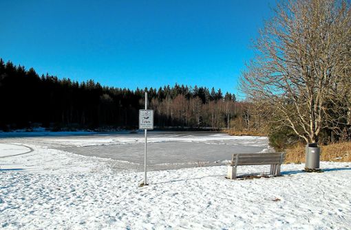 Das Hochwasserrückehaltebecken am Villinger Krebsgraben wurde von Unbekannten für den Eislauf präpariert – trotzt Betretungsverbot und Lebensgefahr. Foto: Stadt VS