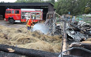Ein Feuer hatte Ende September 2019 vor allem am Schwalbenhof hohen Schaden angerichtet. (Archivfoto) Foto: Gegenheimer
