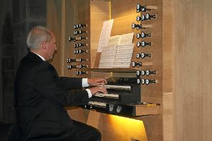 Dieter Benson an der Alpirsbacher Orgelskulptur  Foto: Adrian Foto: Schwarzwälder-Bote