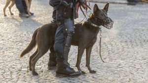 Neue Verordnung: Polizeihunde müssen künftig Blaulicht tragen