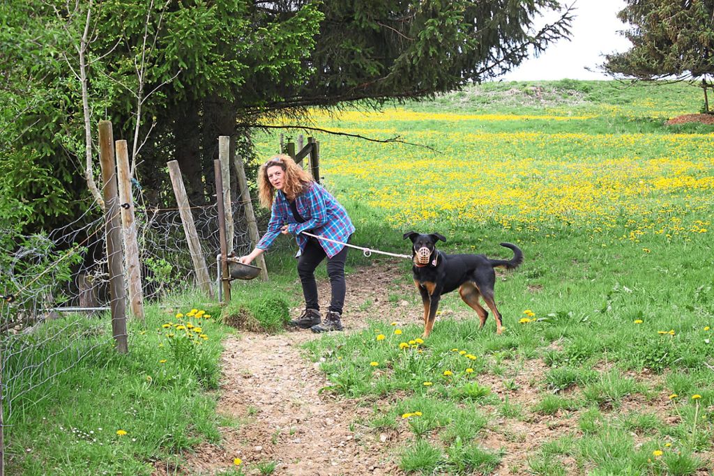 Mehrmals täglich ist Aneta Mager mit ihrem Hund Nale auf der Weide unterwegs, um nach dem Wohl der Rinder zu sehen. Hier überprüft sie die Tränkebecken.Foto: Bächle