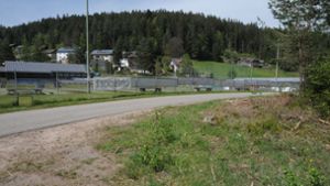 In diesem Bereich auf der Straße und im Wald (rechts) soll das Kleinspielfeld geplant werden. Foto: Ziechaus