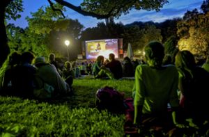 Kinonächte unter freiem Himmel sind im Königsfelder Freibad geplant. Foto: Britta Pedersen/dpa