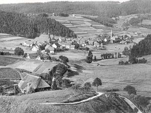 Tennenbronn im Jahre 1924 mit gut sichtbaren Stromleitungen und dem Transformatorenhaus in der Schiltach-Aue. Fotos: Heimathaus Foto: Schwarzwälder Bote