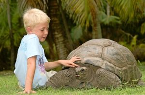 Ein Partnerland der Reisemesse Caravan, Motor und Touristik (CMT) in diesem Jahr sind die Seychellen: Bekannt zum Beispiel für die lächelnden Riesenschildkröten  Foto: Seychelles Tourism Board