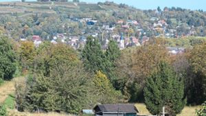 Die Stadt Lahr will stärker gegen illegale Gartenhütten vorgehen